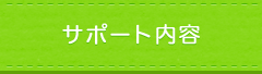 サポート内容